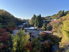 黒川温泉　湯峡の響き　優彩