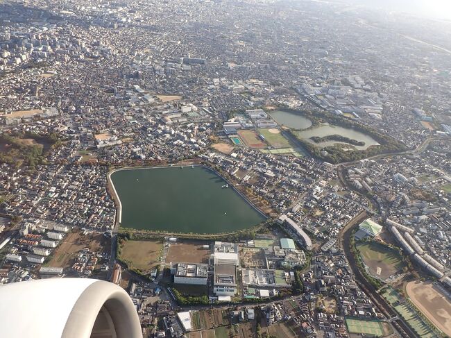 伊丹空港よりJAL３００６便で成田空港へ