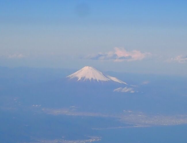 途中雪景色の富士山が望めた