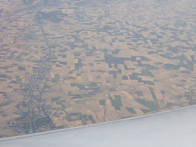 こうして見ると綺麗に区画された農地