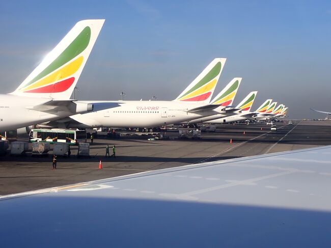 今回も沖止めかな