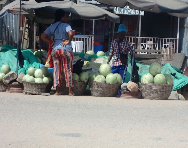 無地のスイカばかり