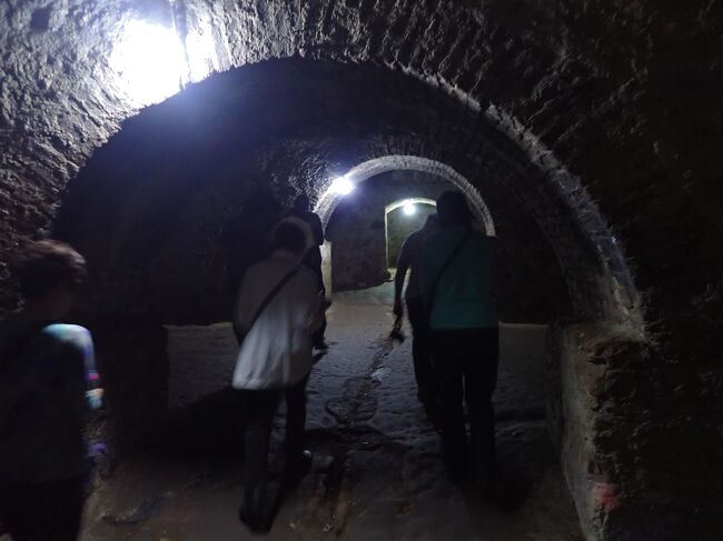 電気が無ければ真っ黒な狭い場所、床は糞尿が流れるその中で横になって寝るスペースも無い程ぎゅうぎゅうに詰め込まれたそうで、奴隷船が来るまで長ければ２か月も閉じ込められたとのこと<br />（奴隷が積み出されると、掃除はされたそうです）