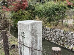 　琵琶湖から水を引いた琵琶湖疏水の分線である小川のそばが遊歩道。うん十年前、桜の頃歩きました。あの頃、歩くことが全く苦にならず、でも今は・・これが現実物語。