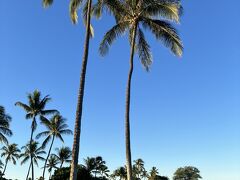 この日も良い天気