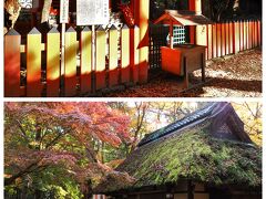 水谷神社は春日大社の敷地内にある「病気封じ、八方除け」の神様
お参りをして、そばにある水谷茶屋へ