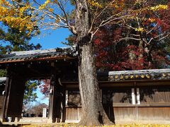 こちらは「手向山八幡宮」