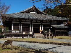 東大寺法華堂
以前、ここの四天王立像を見て鳥肌が立つくらい感動した記憶が甦ります。