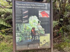 次は、ハワイ国立公園にあるLAVA TUBEへ
いわば溶岩の通った後にトンネルができた
「溶岩トンネル」の見学です。
