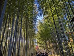 定番の竹林の小径へ。