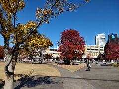 駅を通り抜けて南口からは、幅100m長さ400m以上の芝生の広場が続いています。暖かいのでコートを脱いで、端まで往復のお散歩をしました。