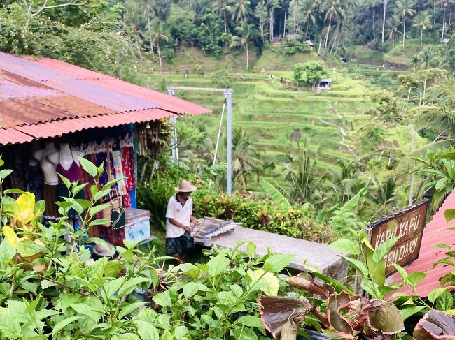 バリ島女ひとり旅⑦ UBUD』バリ島(インドネシア)の旅行記