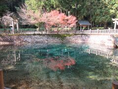 山口、福岡への旅
2日め後半です。
秋吉台、別府弁天池から元乃隅稲成神社へ。