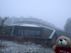 雪です！
私にとって今シーズン最初の雪はジョージアでした。