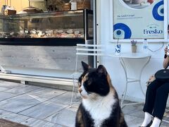 ヨーグルトの有名店Freskoで休憩
暑い中歩いたのでめっっちゃ生き返りました
プレーンをオーダー、さっぱりしていて美味しいです
猫がお出迎え