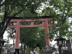 深谷から大宮へ電車で移動。
大宮駅から歩いて氷川神社を目指す。15，6分かかったか　思ったより遠かった。
しかし、氷川神社までの参道は　地元民の憩いの道
きれいに舗装されていたり、公園のように作られていたり、
散歩や犬を連れている人、健康のために歩いている人、走っている人
それぞれが　この道をとても大切にしている気がした。