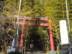 来宮神社入り口です。
竹がすごい