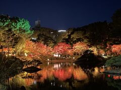 夕食の後、紅葉祭開催中の縮景園へ行きました。美術館の入り口から入りました。とても混んでいて、チケット購入＆入園まで1時間近く並びました。