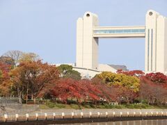 白鳥庭園に隣接する白鳥公園