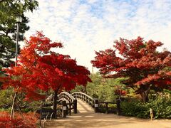 09:00開園と同時に白鳥庭園に入園