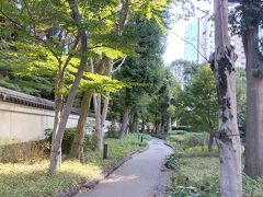 小石川後楽園への道。未だ緑の紅葉。
