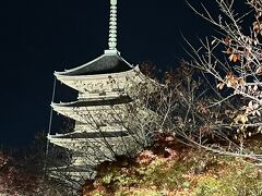 　それでなくても、東京駅22：42着と大変遅い時刻なのに、それ以上遅れたら、最悪、新幹線泊？？
　3日間バス席お隣の方には、定時運行した場合の、東京駅から埼玉の、自宅最寄り駅までの時刻の検索をしてあげたのですが、最終電車に乗れることが分かって安心していました。最終に間に合うか、家で調べて来ないという、その楽観主義に驚きました。そして、定時運行「見込み」で「大丈夫」と思えるそのタフさ見習いたいとさえ思いました。