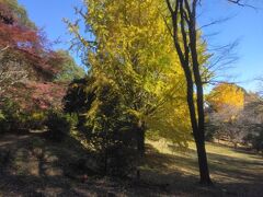 飯山白山森林公園