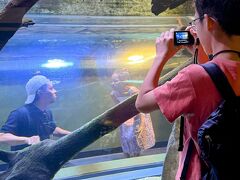 ホテルの向かい側にある
ケアンズ水族館へ。

