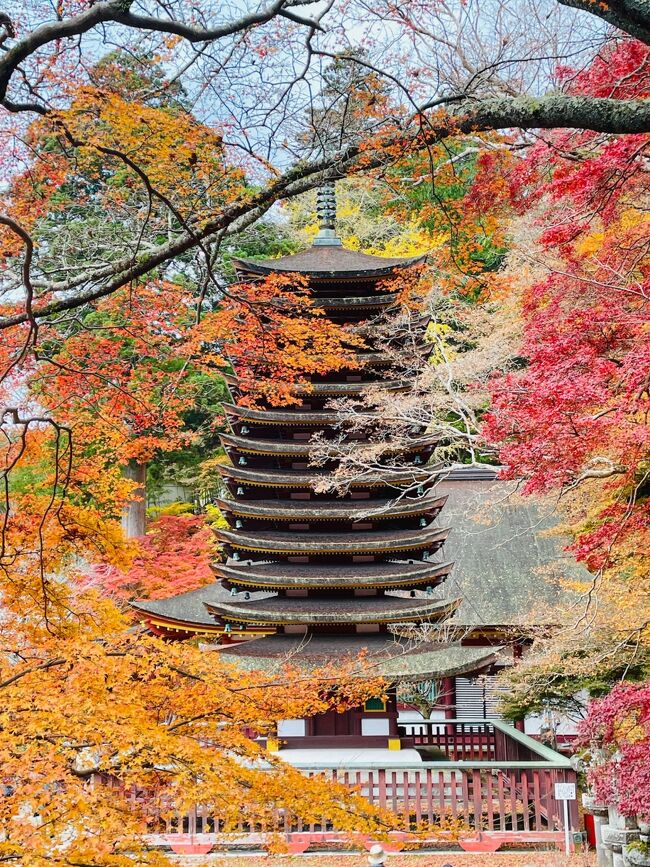 紅葉の名所＆大化の改新ゆかりの『談山神社』へ』桜井・三輪・山の辺の道(奈良県)の旅行記・ブログ by akikoさん【フォートラベル】