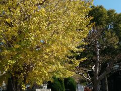 紅葉がみごとな密蔵寺。