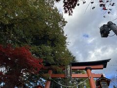 お腹いっぱいになった所で新倉富士浅間神社へ。
超有名スポットなのですごい人！
なので空多めの写真になってしまいます。