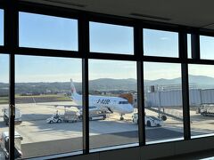 さて出雲空港から大阪伊丹へ帰ります。
帰りの飛行機は本当にあっという間に伊丹に着きました。