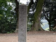 津和野城址

築城は1295年
関ケ原の戦いの後、1601年に坂崎直盛によって近代城郭に改修