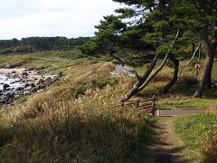展望台を離れ遊歩道を歩く。海岸沿いに設けられているので景色はよい。
まずは中須賀海岸を通過する。こちらは中くらいの岩が転がっている海岸線。