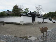 二月堂の前に白壁に囲まれた開山堂があります。東大寺初代別当の良弁僧正を祀っていて、1019年に創建されました。宝形造のお堂の内陣に八角造の厨子があり、三月堂（法華堂）で拝観した秘仏の国宝良弁僧正坐像が普段は安置されています。開山堂へ入ることはできませんでした。