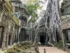 大人気のタ・プローム遺跡。映画の舞台にもなっている。