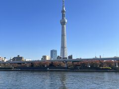 食後の運動も兼ねて徒歩で向かってみます。これだけ高い建物なのでわかりやすいですね！隅田川とスカイツリー