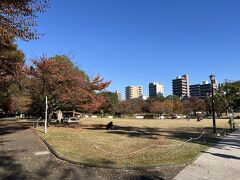 隅田公園に入ってきました