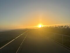 実家に到着後、遠州灘（太平洋）沿いの海岸線にある遊歩道を、夕日に向かってサイクリング。