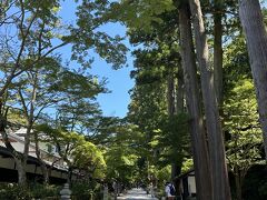 翌日は、遠州では有名な法多山へ。
この山道を歩いていくと、御本尊があります。

夏場は、風鈴祭りで有名です。