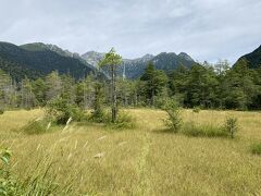 田代湿原、水田のような湿原という意味らしい。