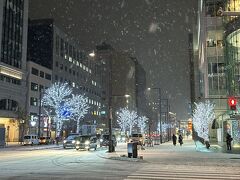 大通り公園の道はホワイトイルミネーションが続きます