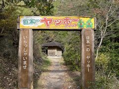 吊橋椿山レイクブリッジ