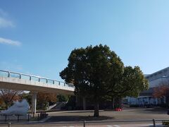 奥田公園。芝生がきもちよかったです。

これから北鎌倉へ移動します。