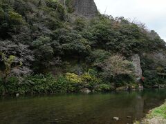 前回は温泉だけで帰ってしまったので、今回は遊歩道を歩いてみることにする。歩き始めてすぐ、川の畔に出た。神戸川である。立久恵峡は、その川沿いに2kmに渡って続く渓谷である。断崖と奇岩が織り成すその景色は、『山陰の耶馬渓』とも呼ばれているそうである。