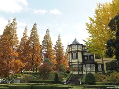 外交官の家

メタセコイヤの紅葉とイチョウの黄葉