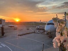 那覇空港の到着が、ちょうどサンセットタイムでした。