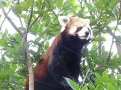 静岡市立日本平動物園