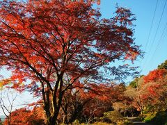 【慈光寺】慈光寺に到着。