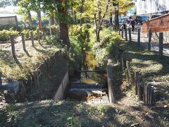 新座駅から徒歩10分ほどで野火止用水の遊歩道に至る。